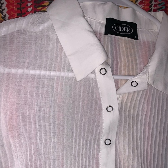 Cider Pleated Blouse - Picture 1 of 2